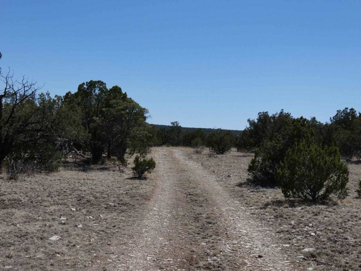 Crooked Canyon photo 2