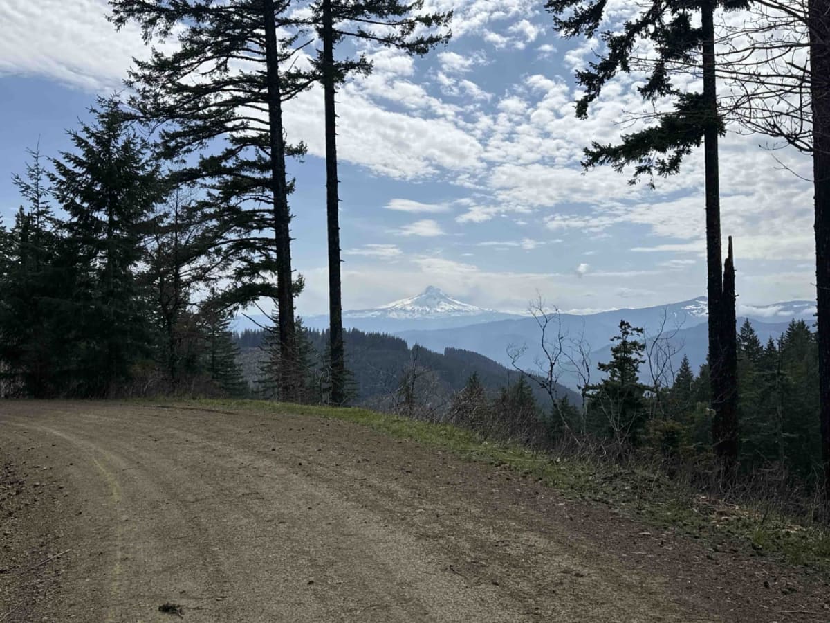 Buck Creek N-1000 to Little Baldy Peak photo 5