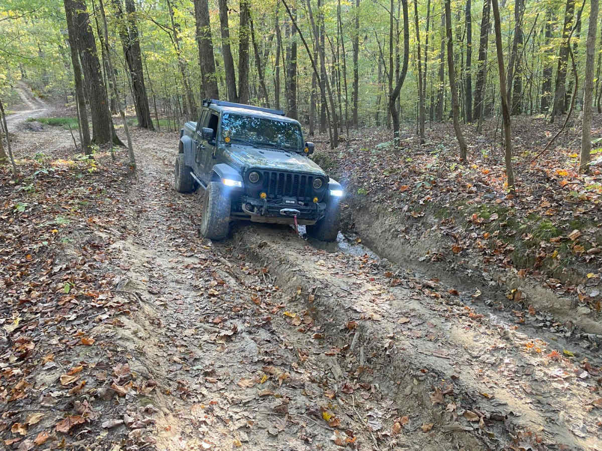 FSR 319 Land Between the Lakes photo 3