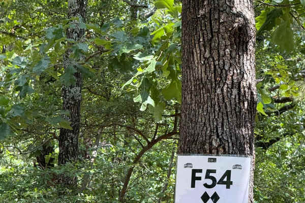 F54