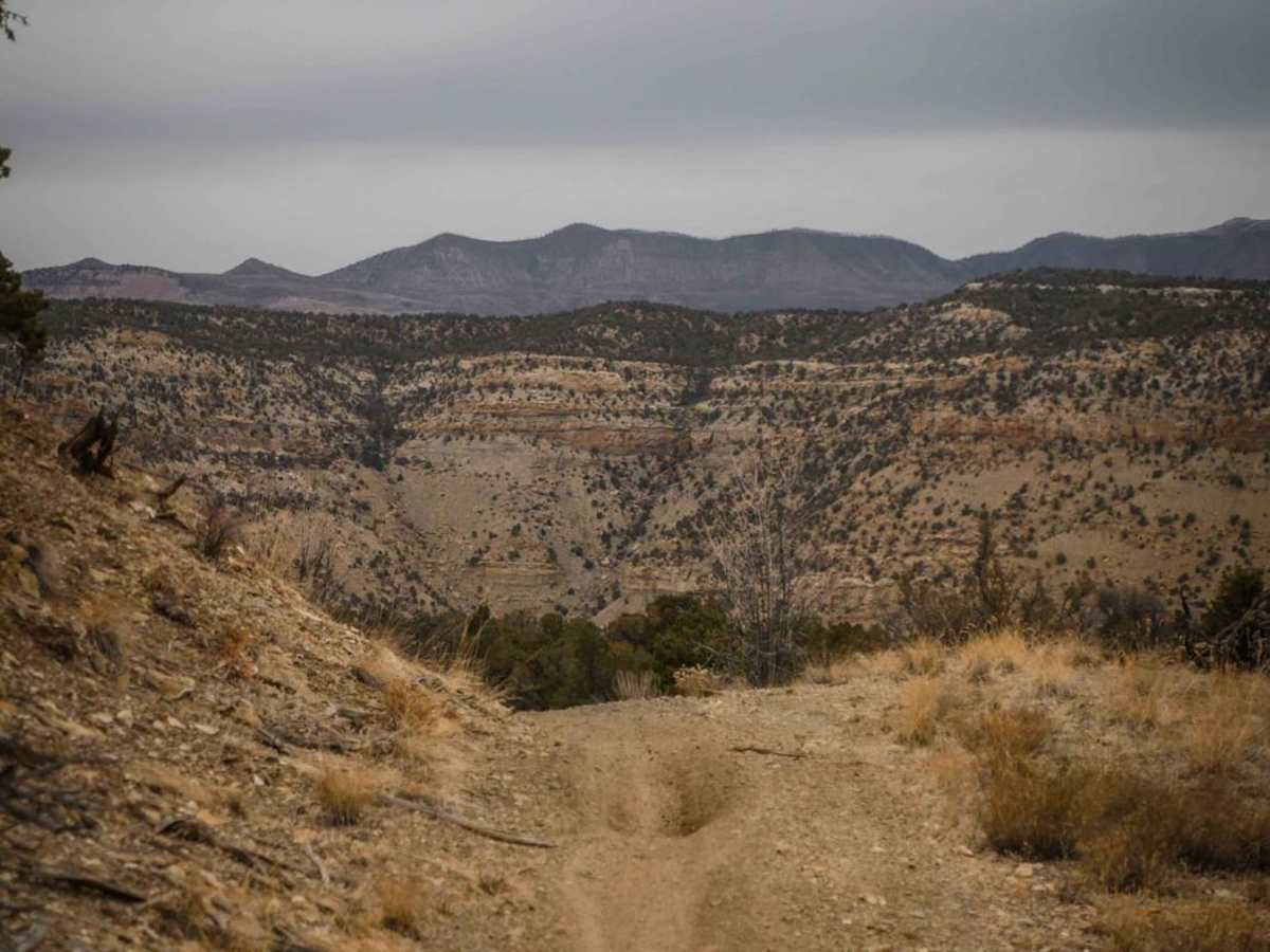 Sarlacc Trail photo 3