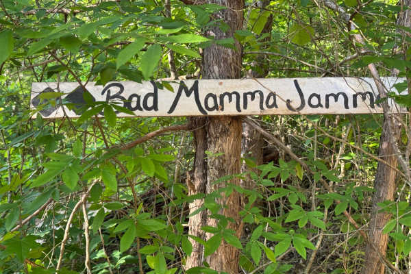 Bad Mamma Jamma