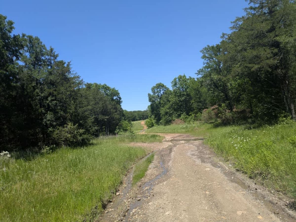 Small Game photo 5