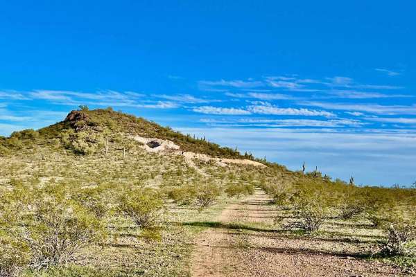 Grass Mine Trail