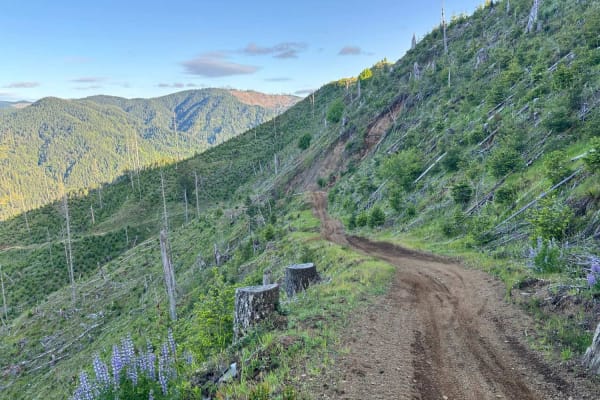 Jones Creek Road