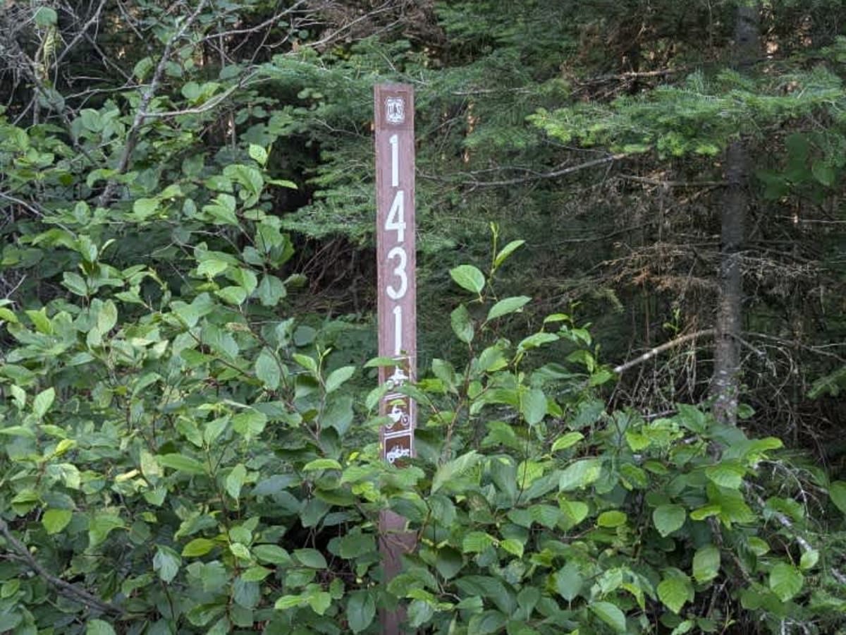 Hatchet photo 4