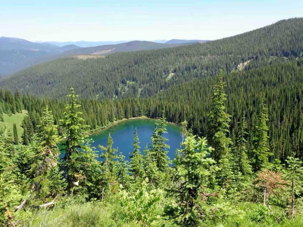 Oregon Lakes Rd-State Line Rd trail photo