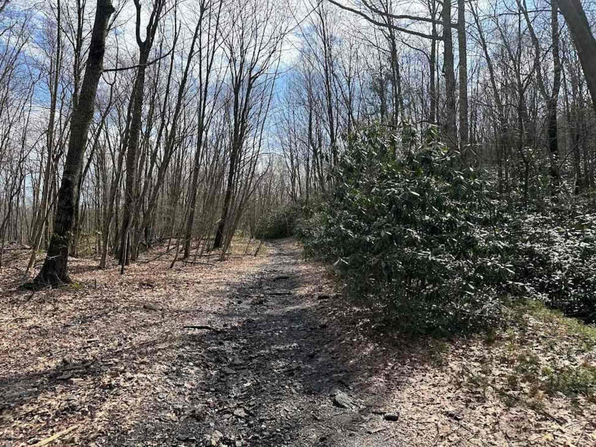 Ashland 120 photo 5