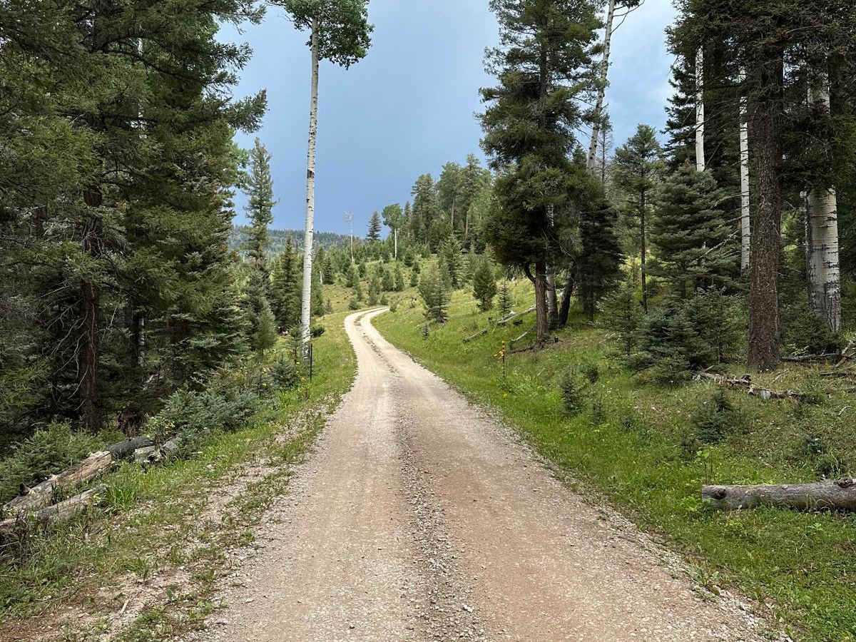 FR 69 American Park photo 5