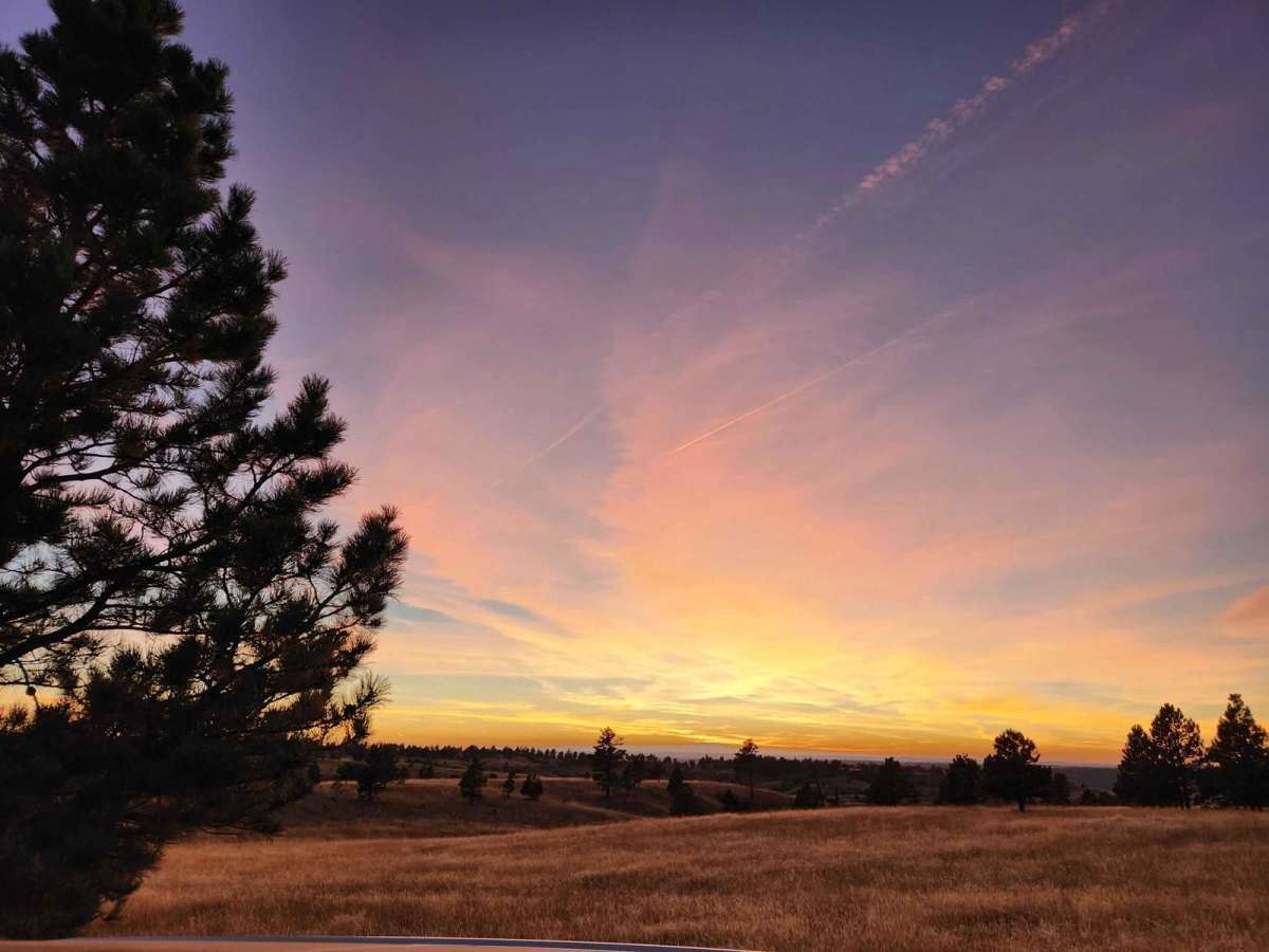 Weston Hills trail photo