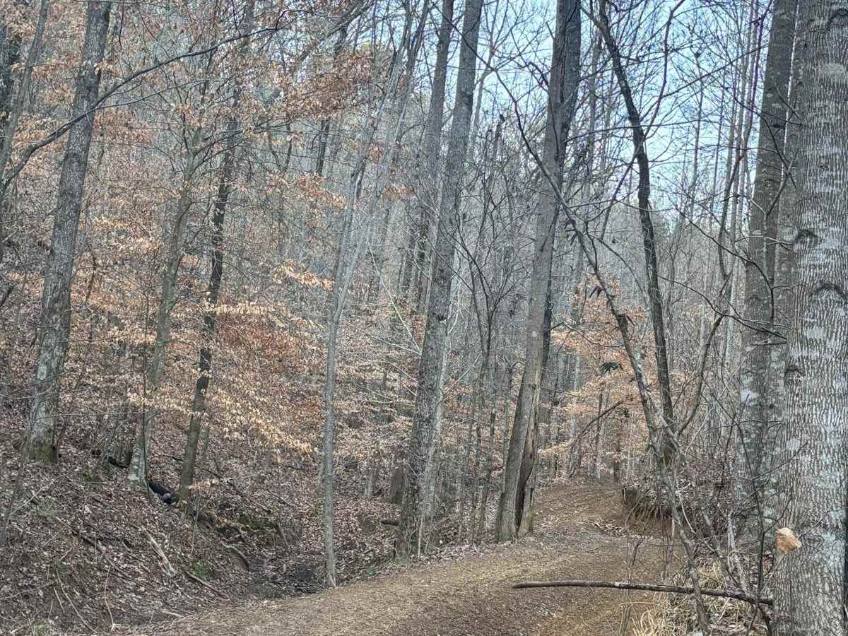 Briar Creek photo 2