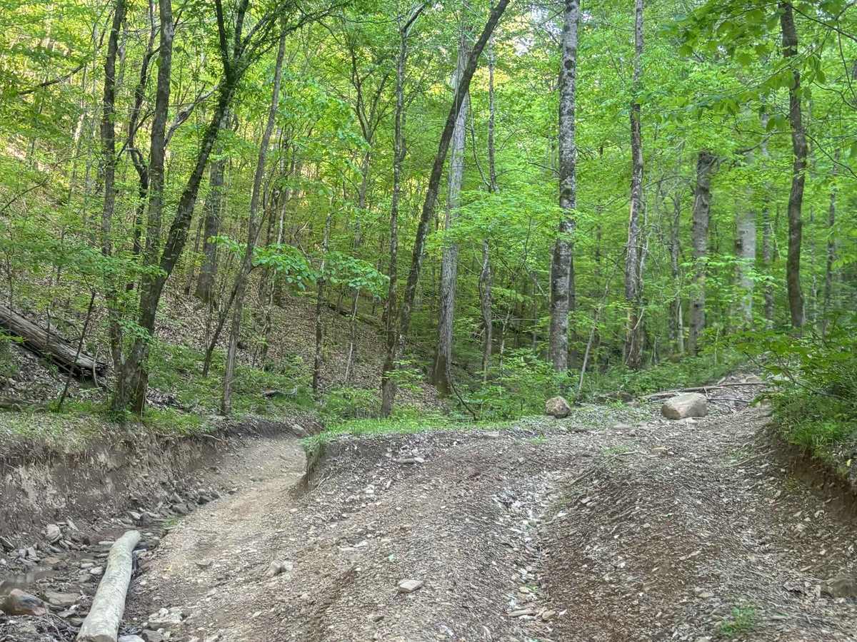 Rock Creek photo 4