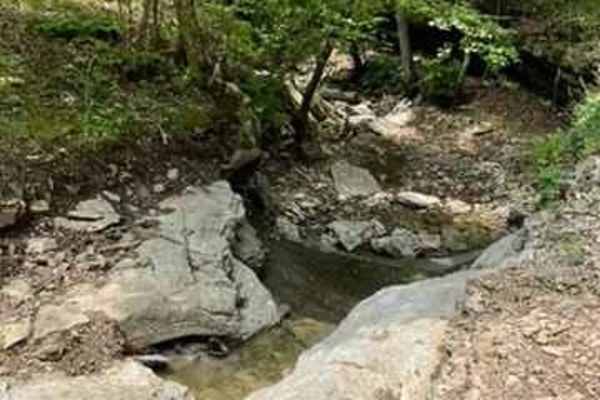 Jana's Trail