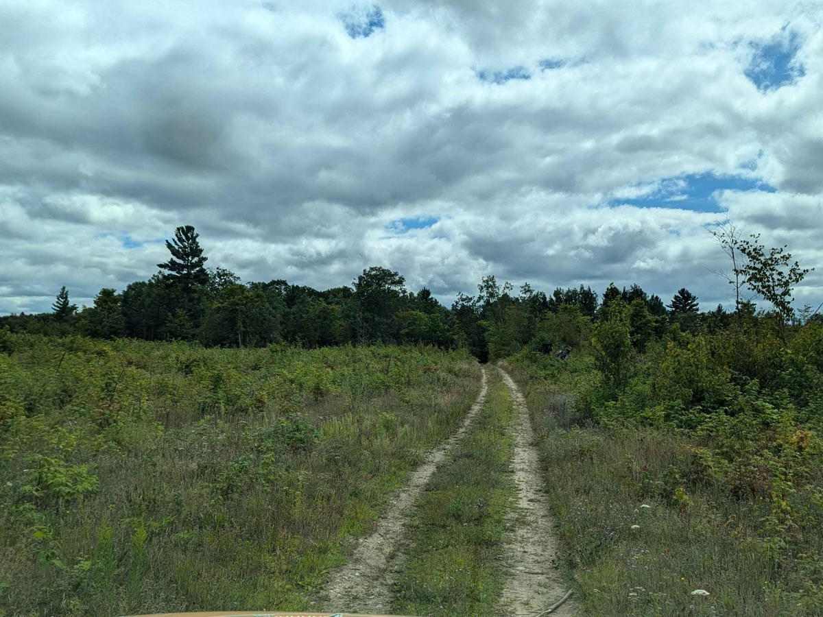 Brown Trail photo 2
