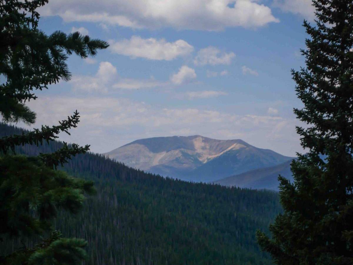 Jack Park Trail photo 3