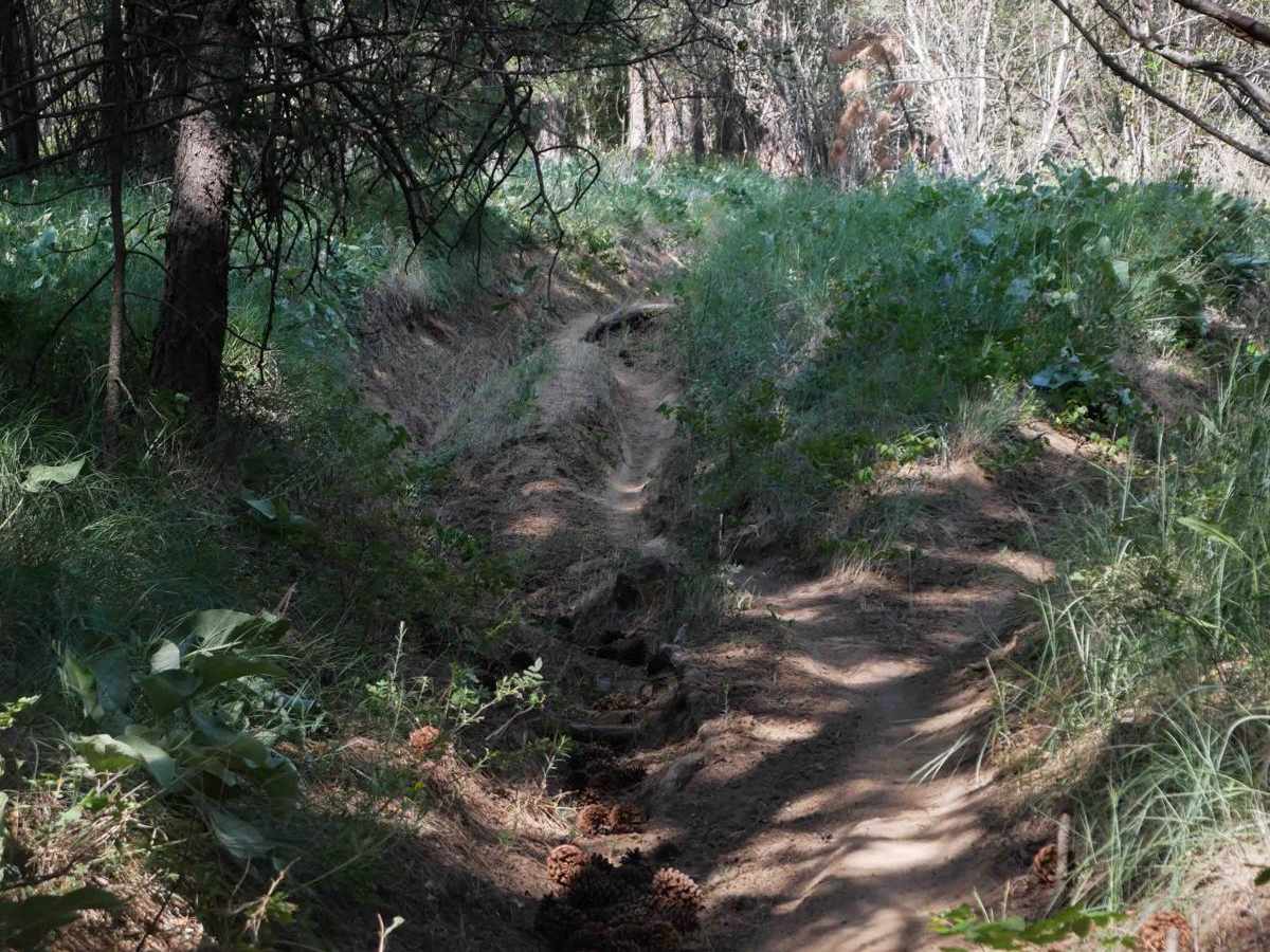 Center trail photo