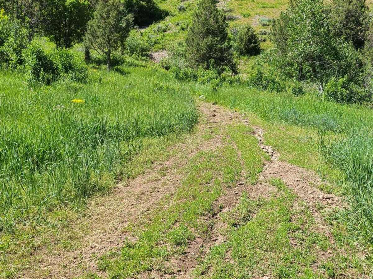 Cart Hollow photo 2