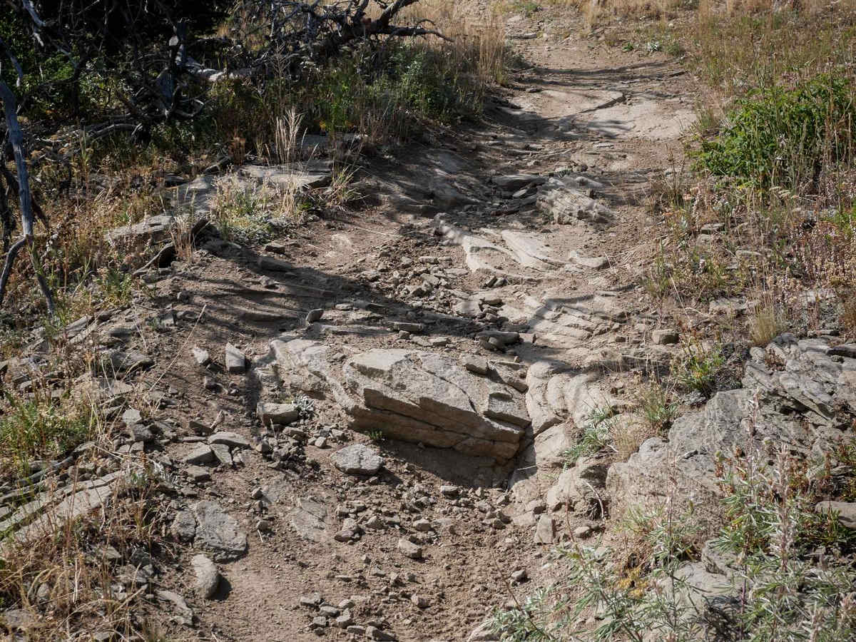 Bangtail Divide photo 5