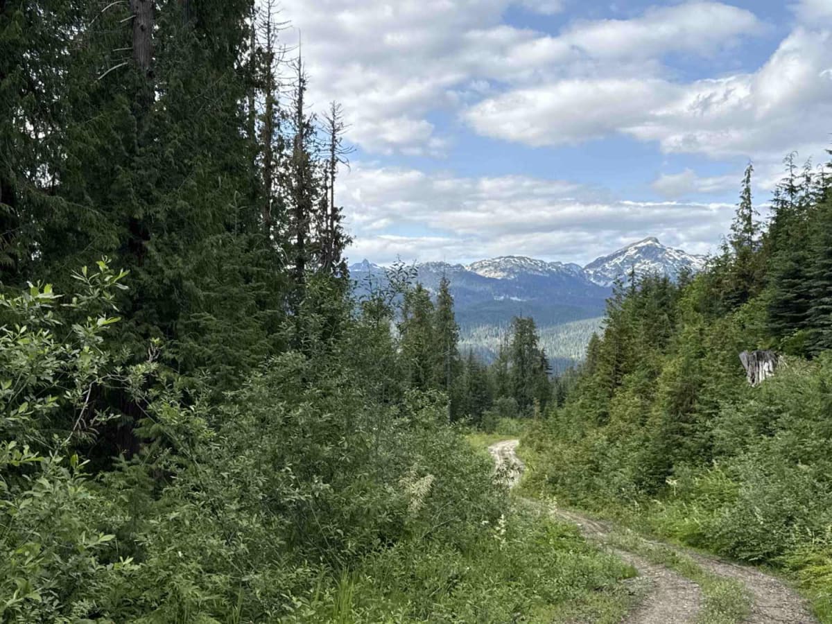 North Fork Spur trail photo