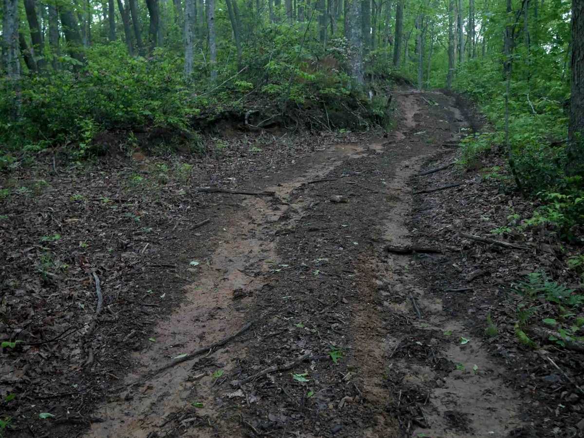 J75 trail photo