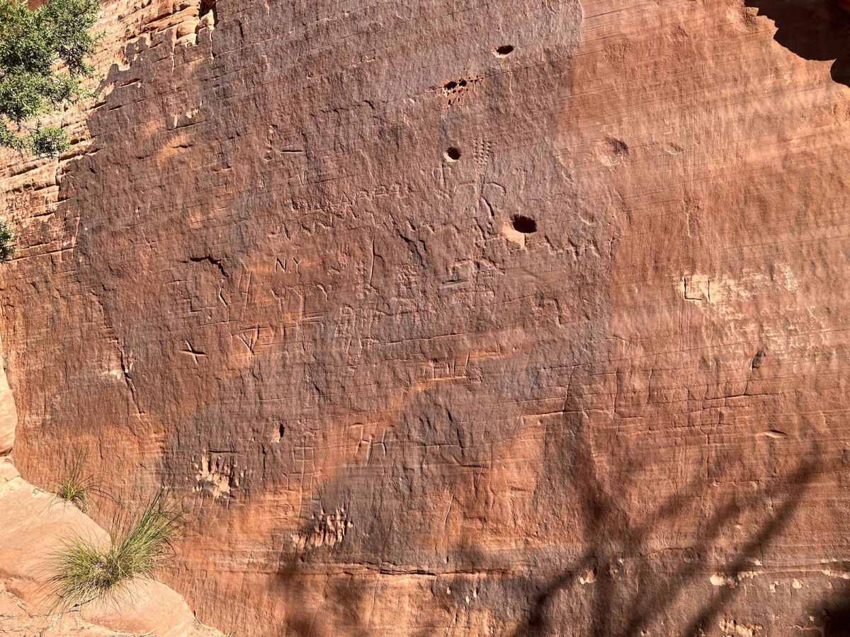 Petroglyph Experience (103C/1103) trail photo