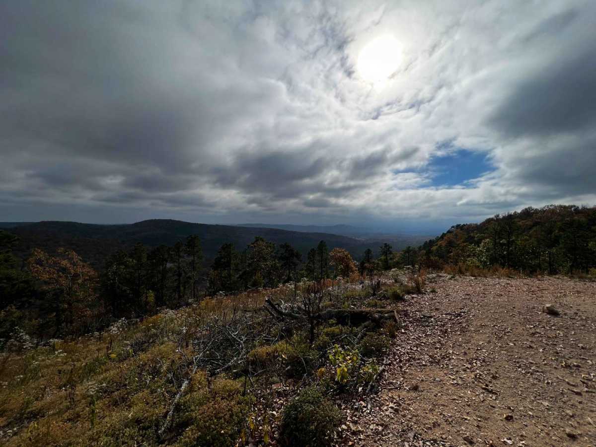 AR 5 - Main Park Road trail photo