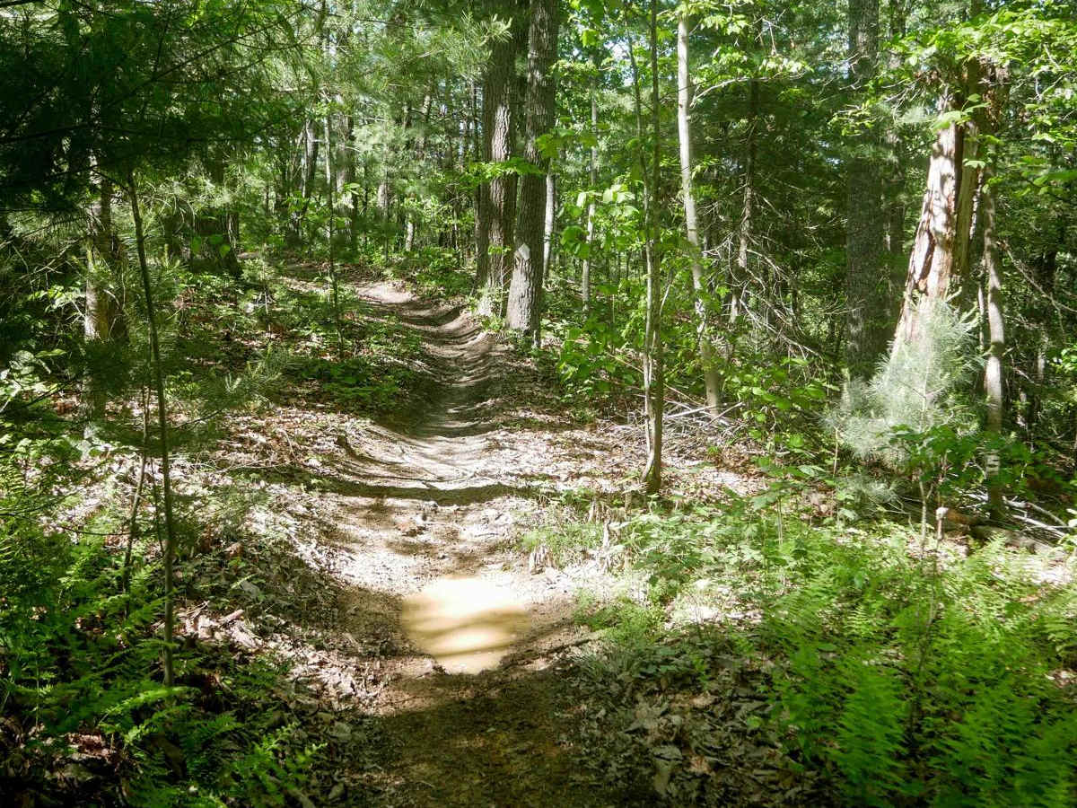 Single Track 1 photo 3