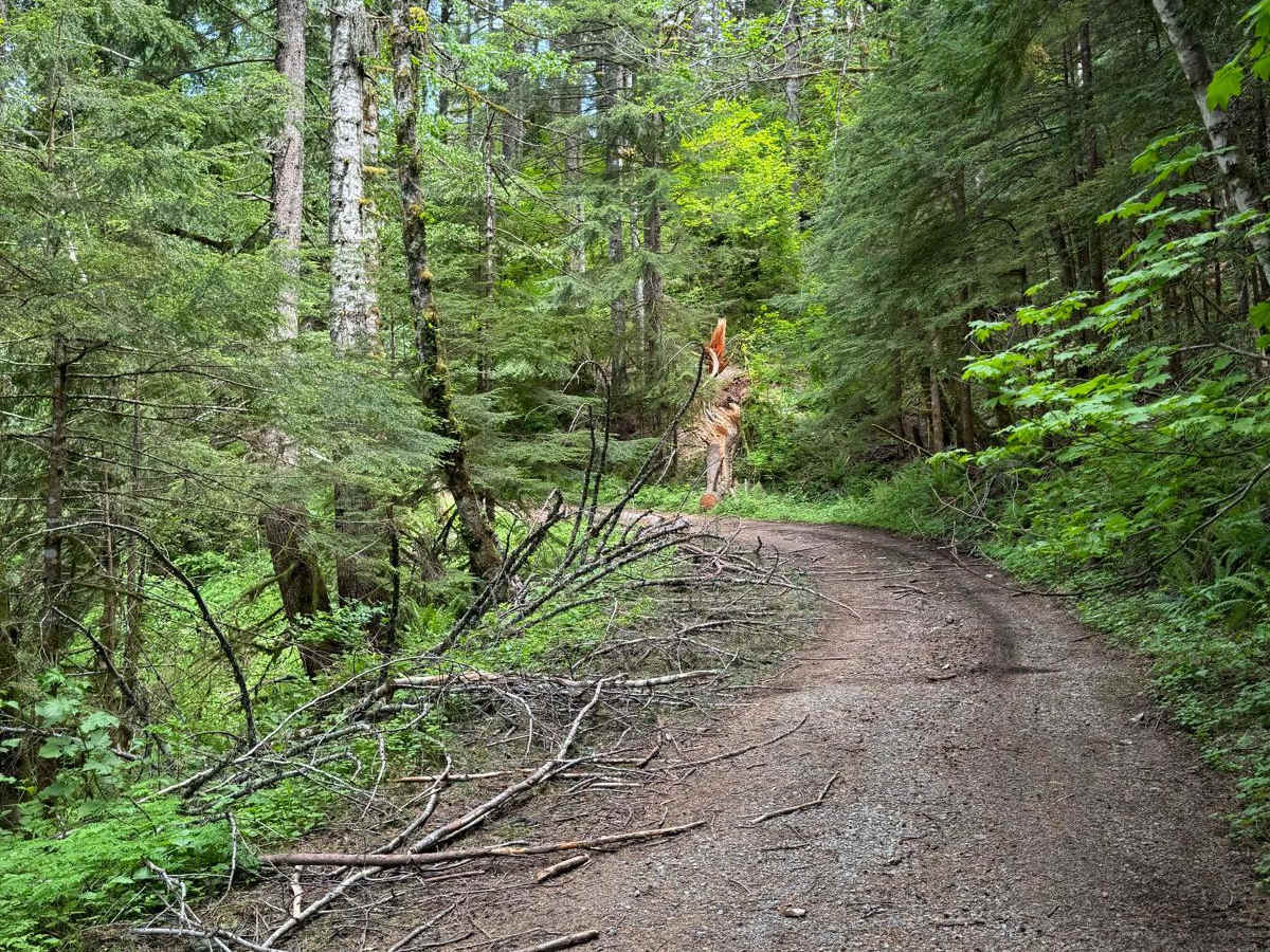 4104504 - Deep Woods Adventure photo 2