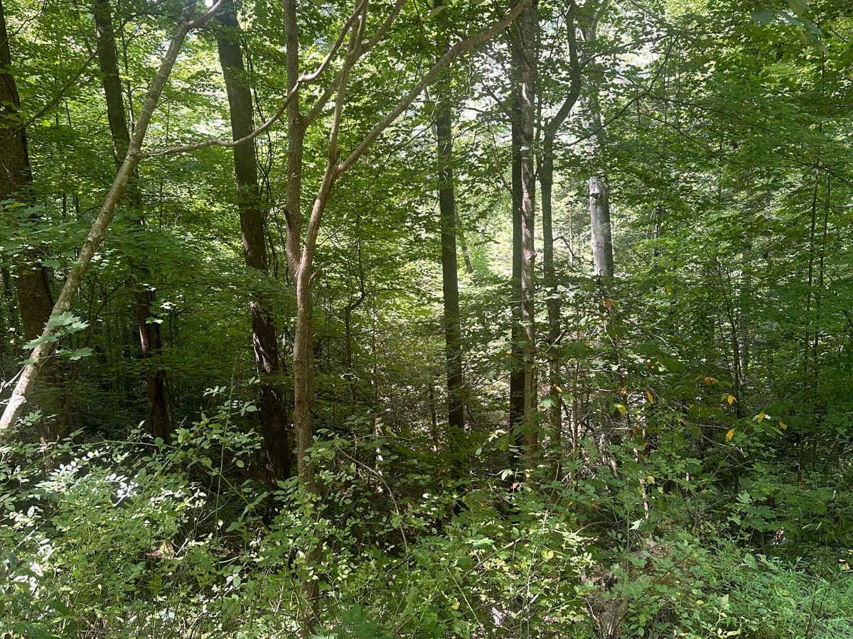 104 photo 4