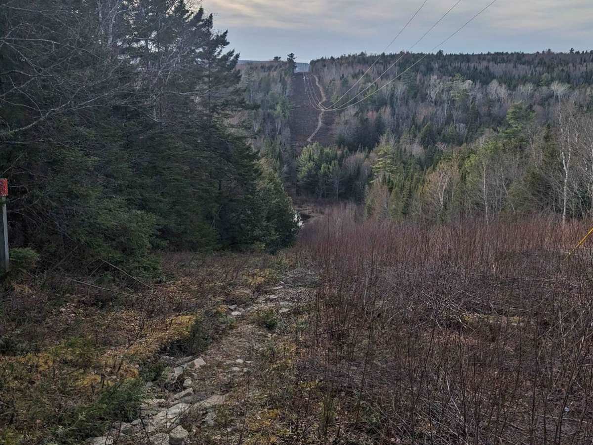 Douglas Logging Road Loop trail photo