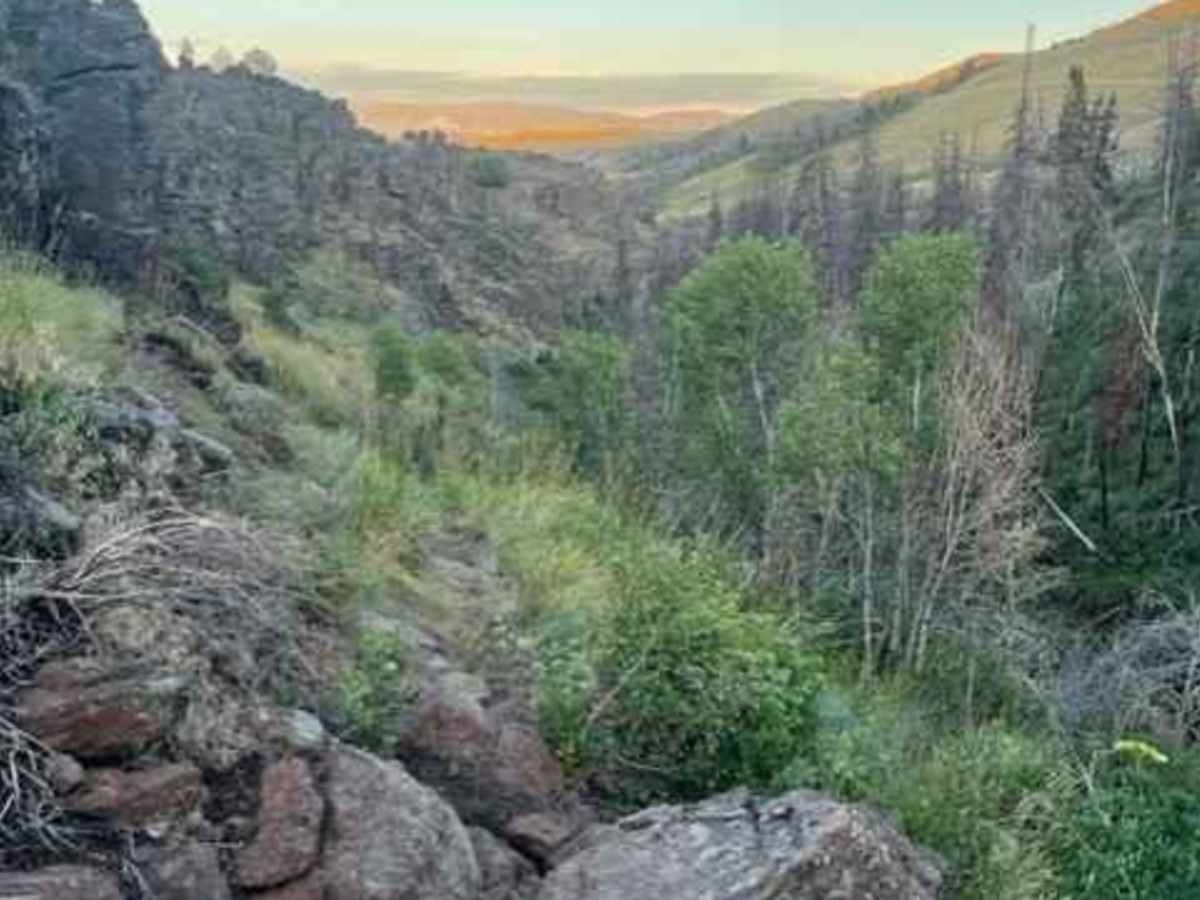 Teepee Rocks via Trapper Creek (7010) and Flatiron (70680) photo 4