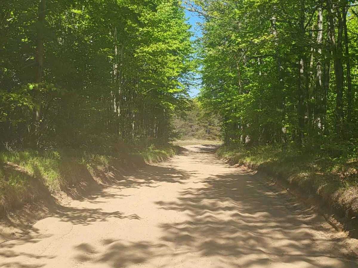 Ogemaw Hills ORV Route photo 4