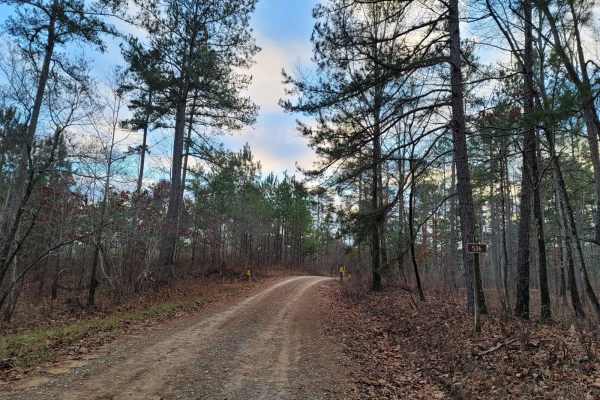 USFSR #536 - Rattlesnake Mountain