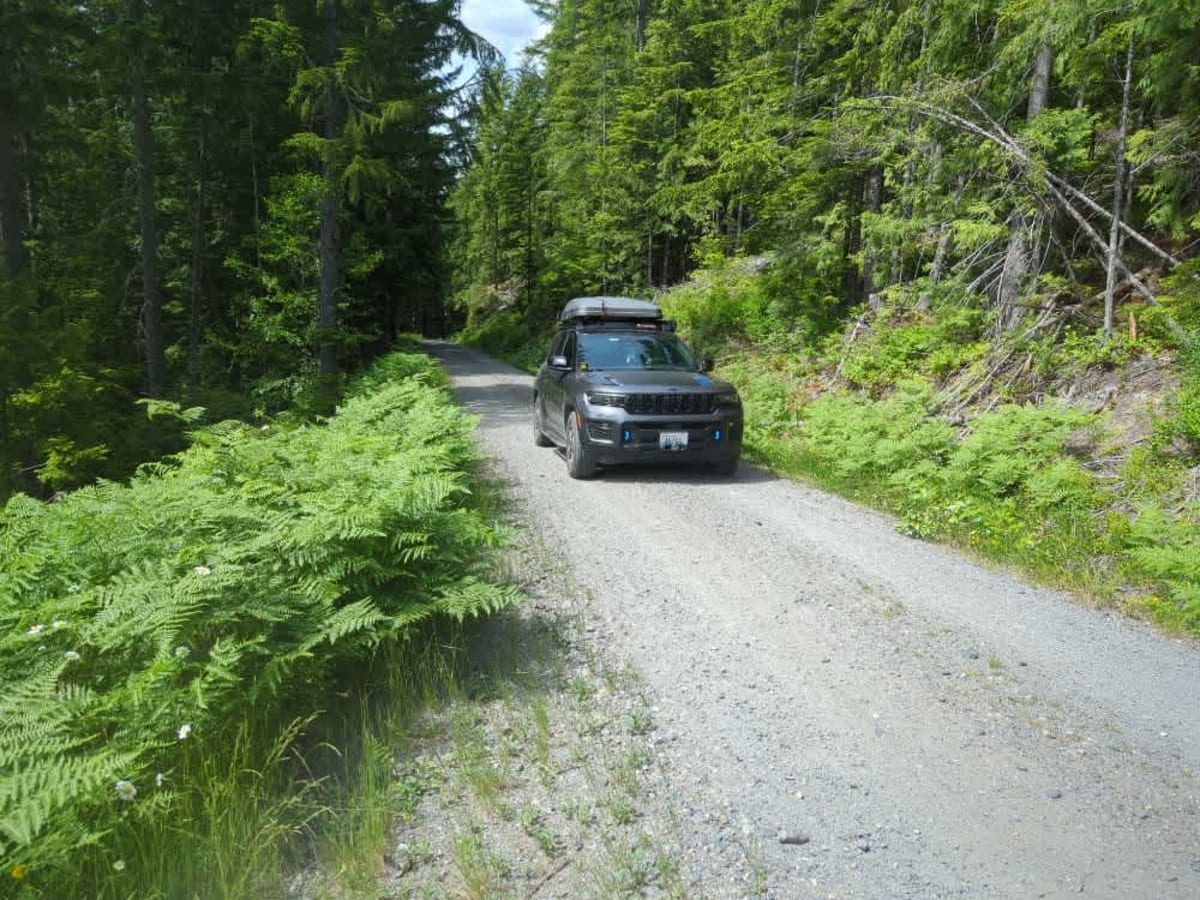 Johnson Ridge Trail photo 3