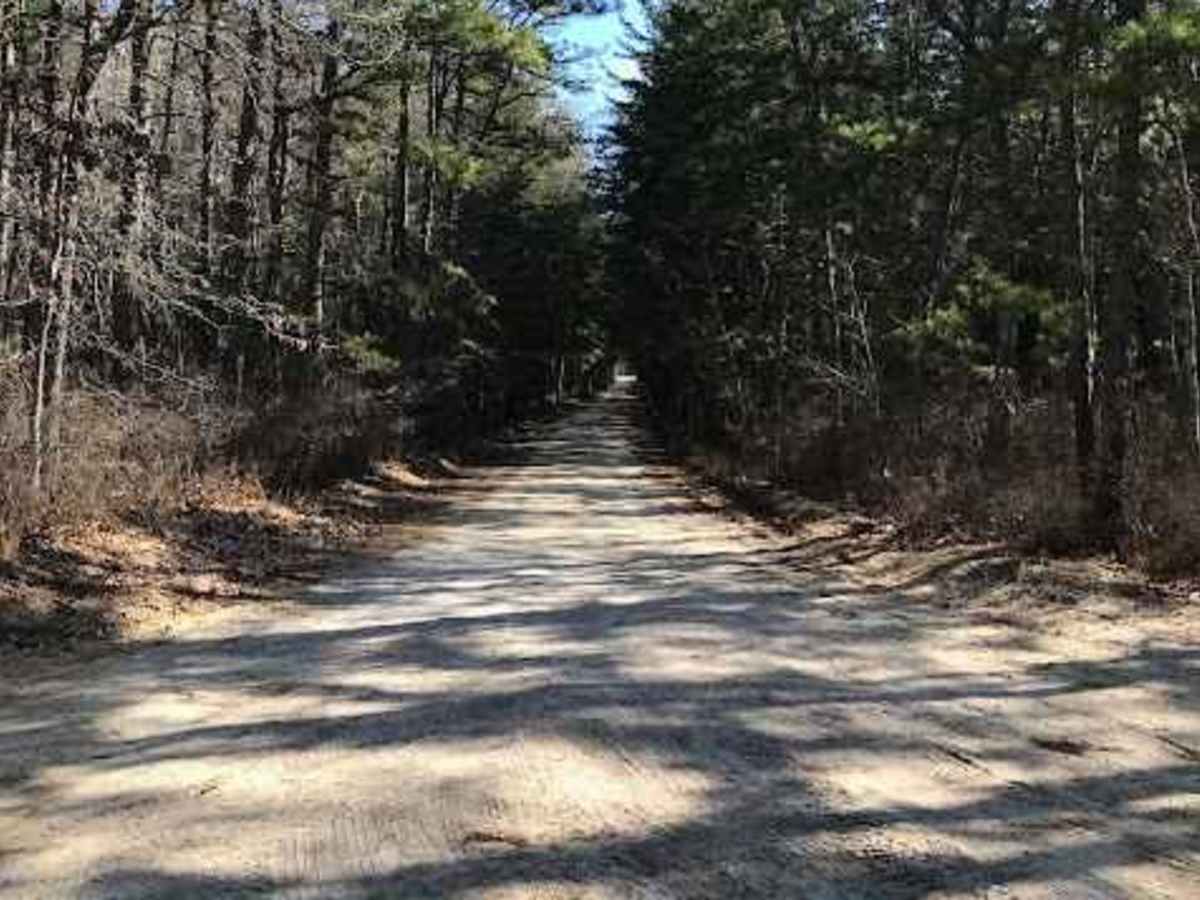 Muddy Road Trail trail photo