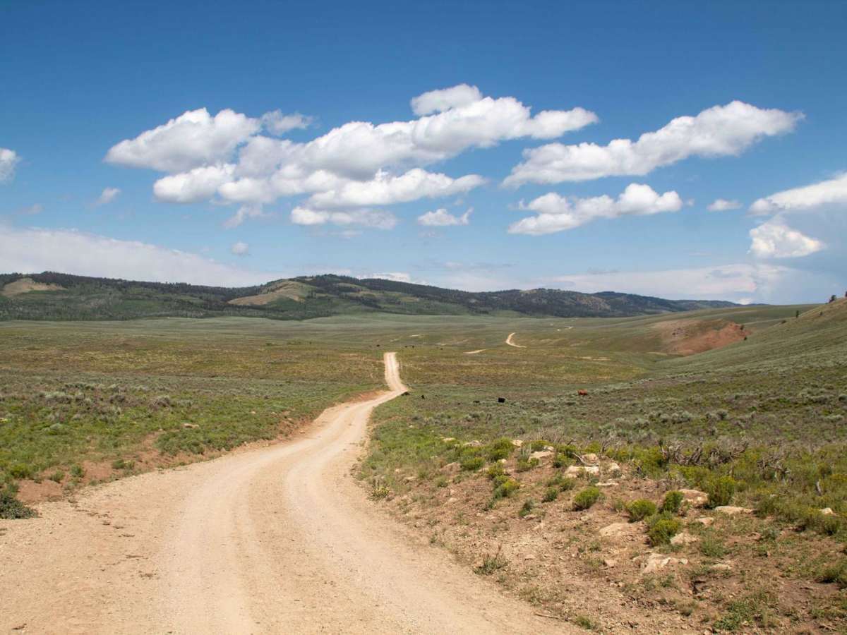 Millie Springs Road photo 2