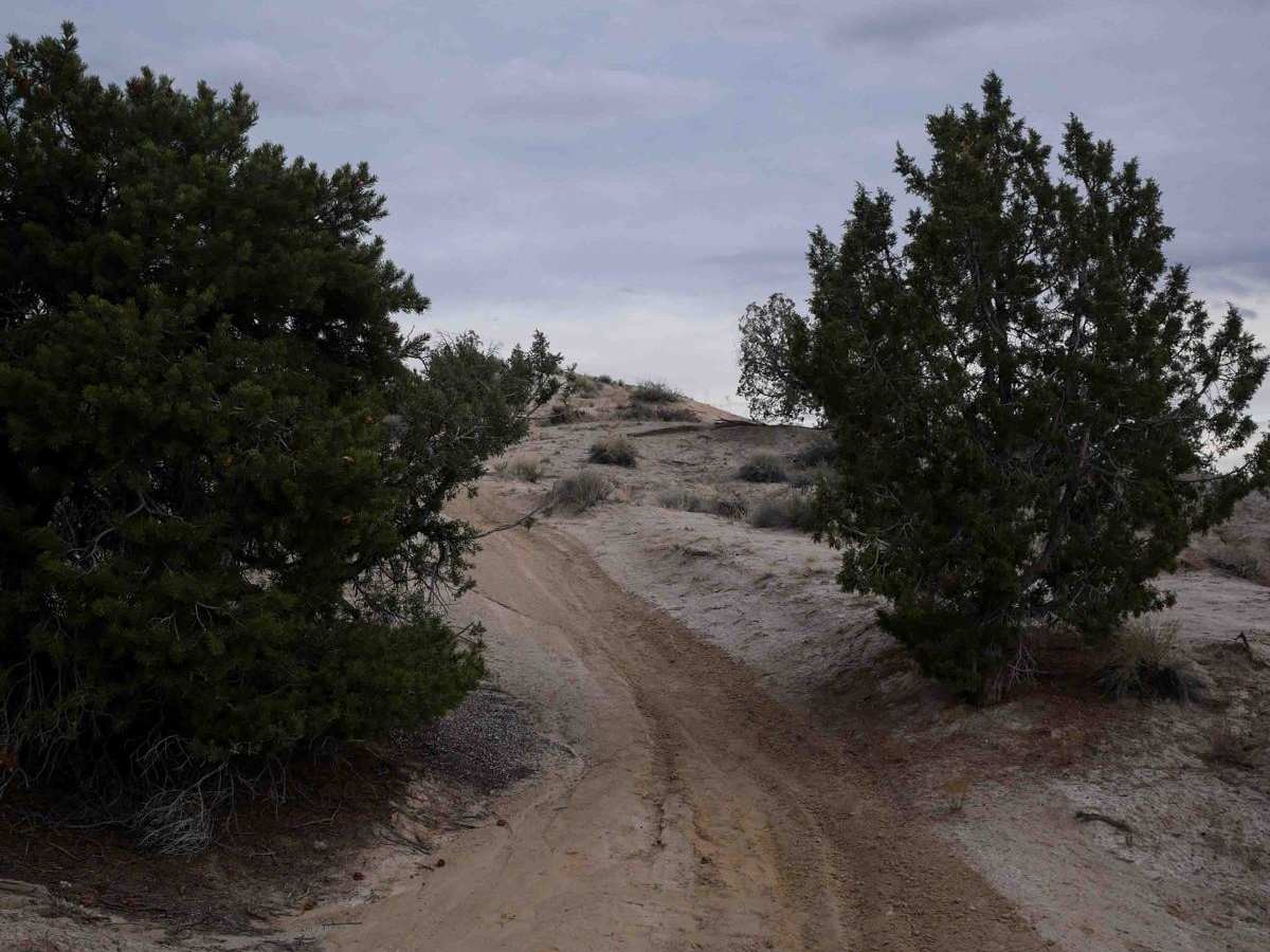Rhinos Ridge photo 4