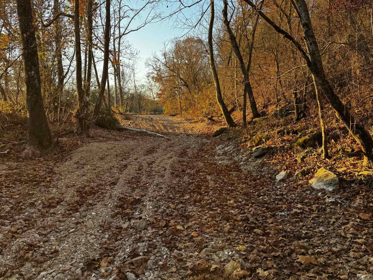 Main Creek photo 2