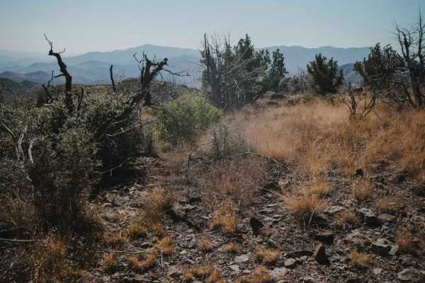 Little Wolf Creek