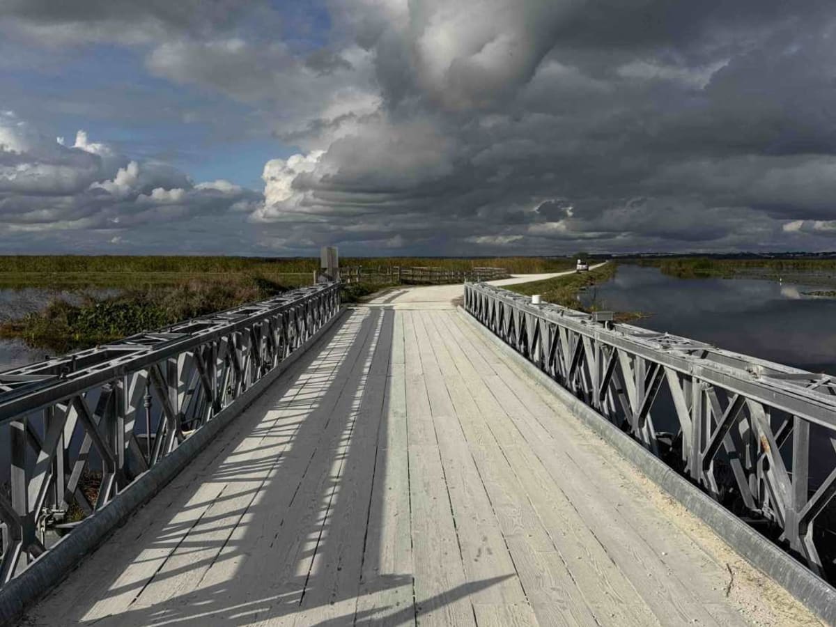 Lake Apopka Wildlife Drive trail photo