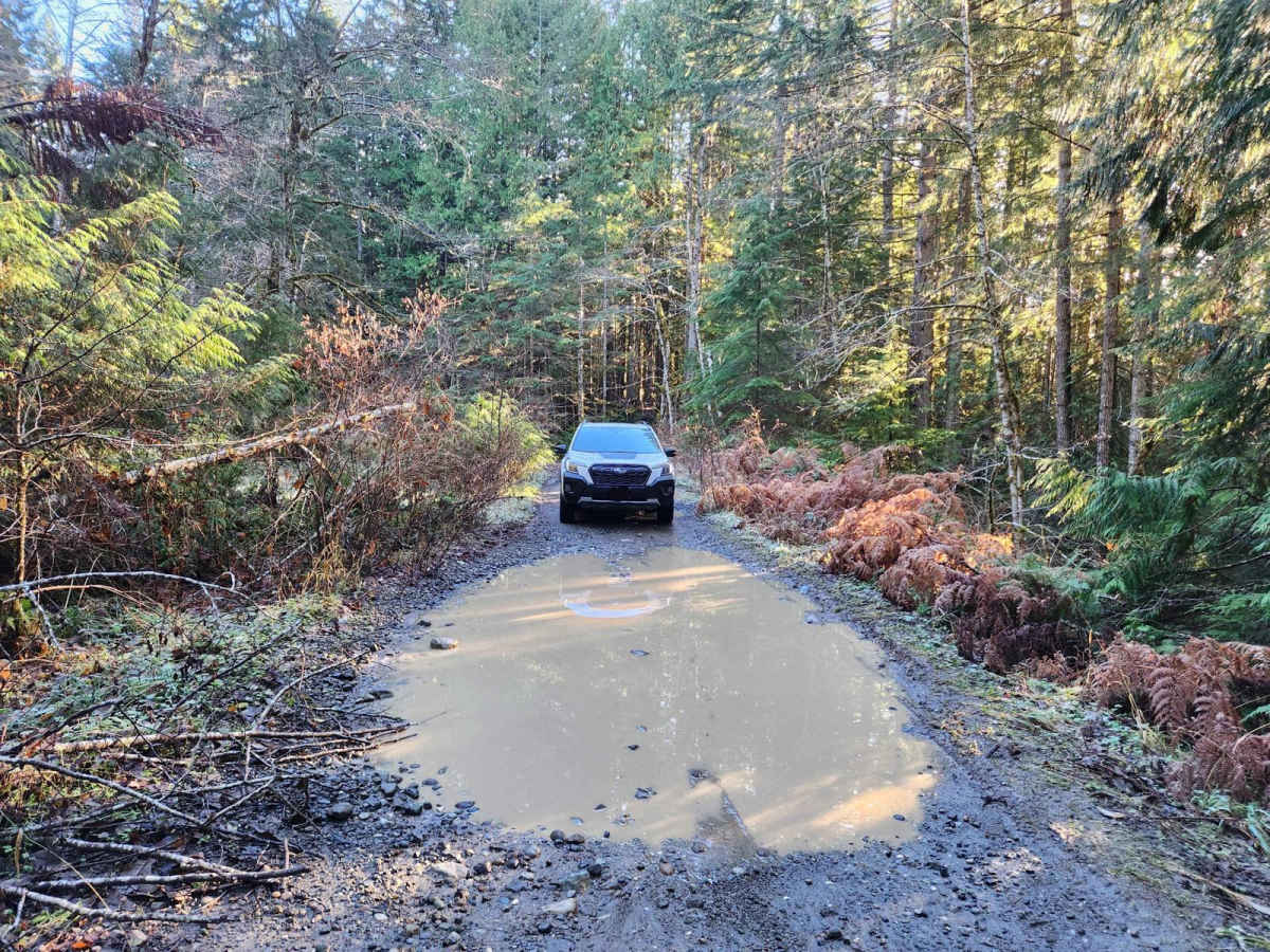 NF 2581 - Puddlejumper photo 4
