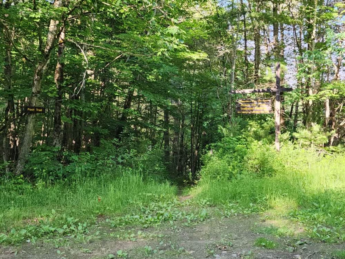Beach Mill Road photo 2