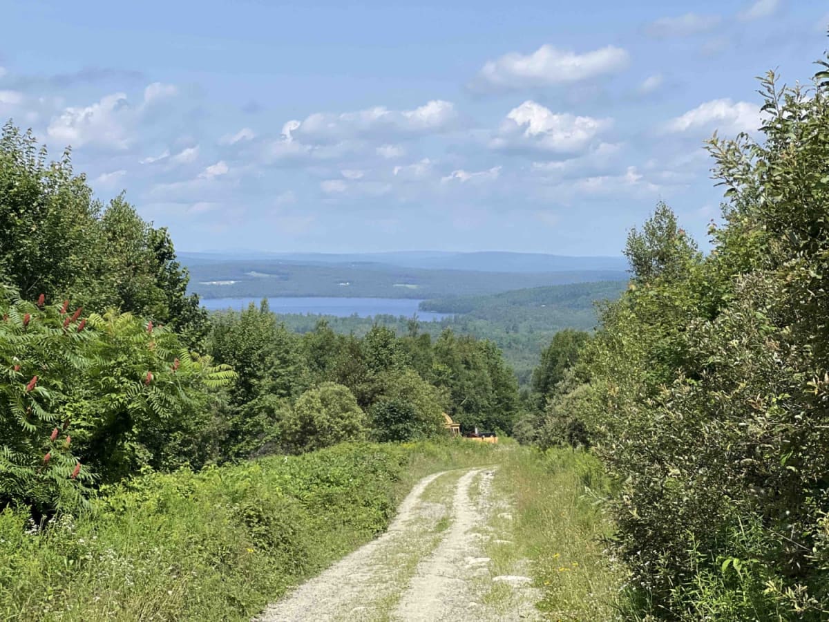 Overlook Trail photo 2