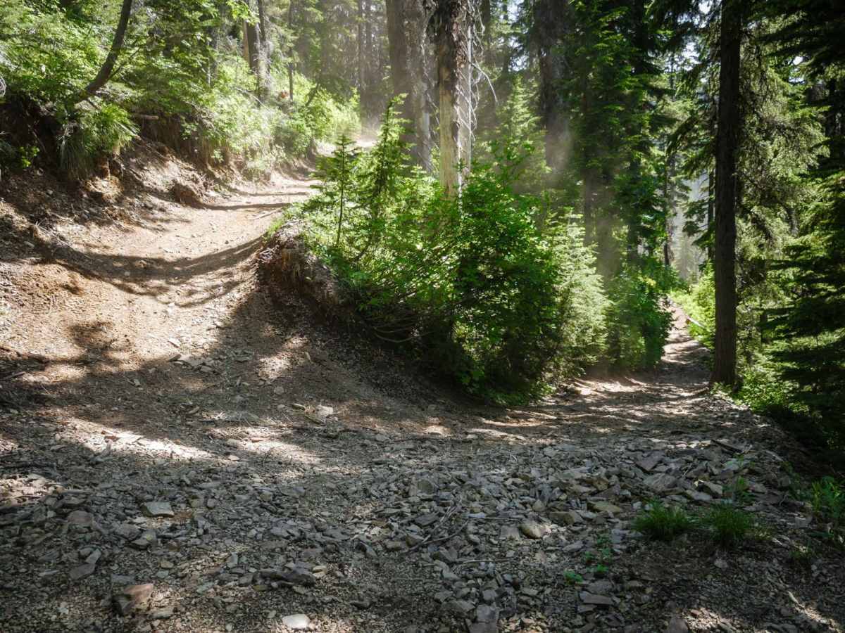 Lake Elsie ATV trail photo