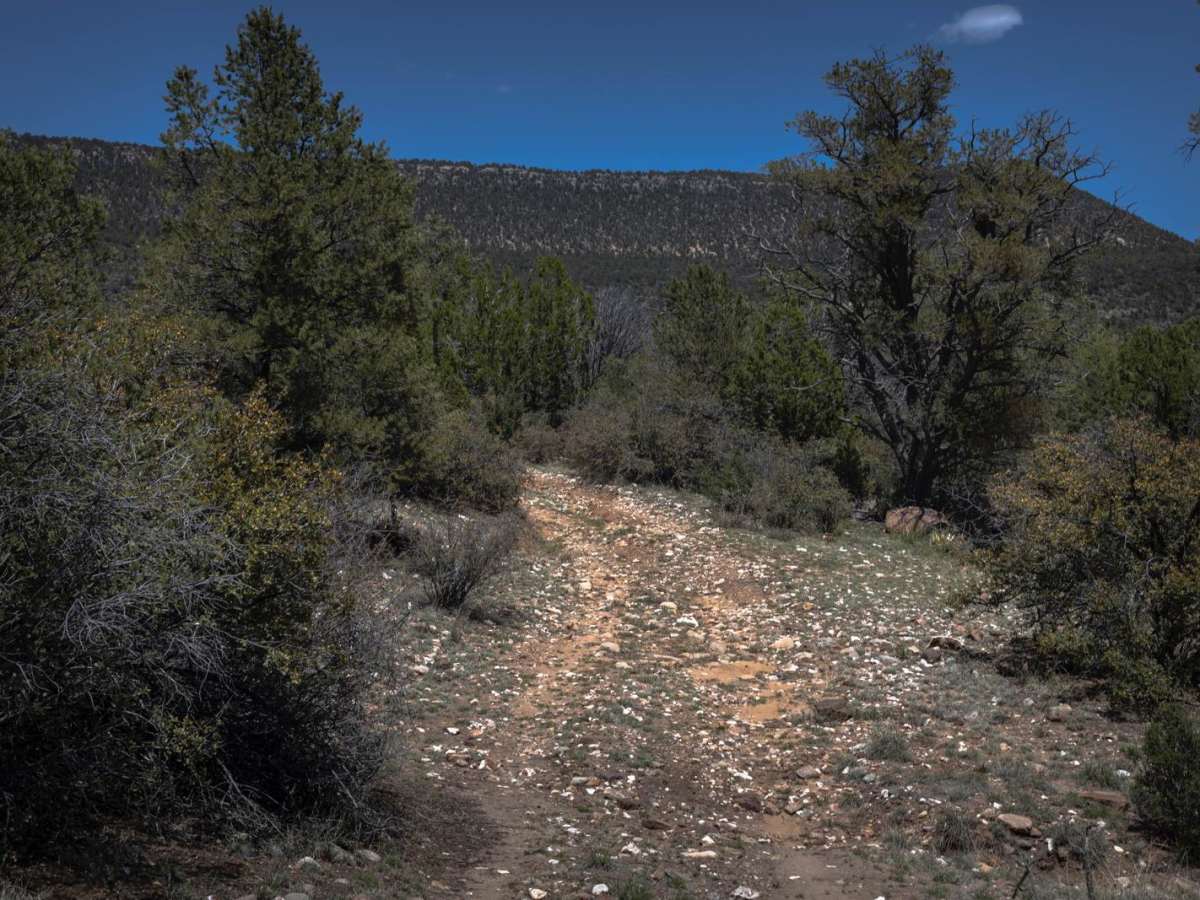 Lee Spring photo 4