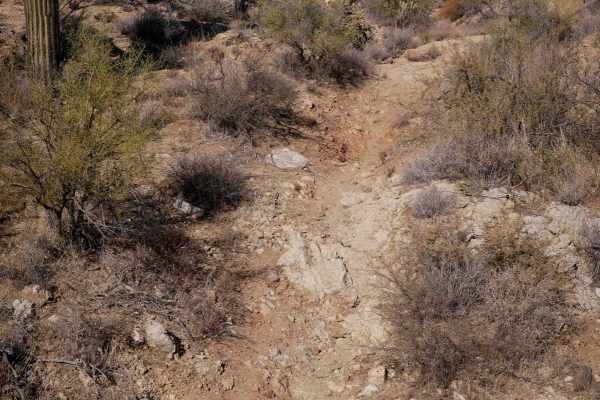 Sim's Trail