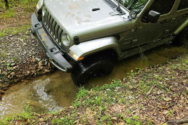 Forest Service Road 236