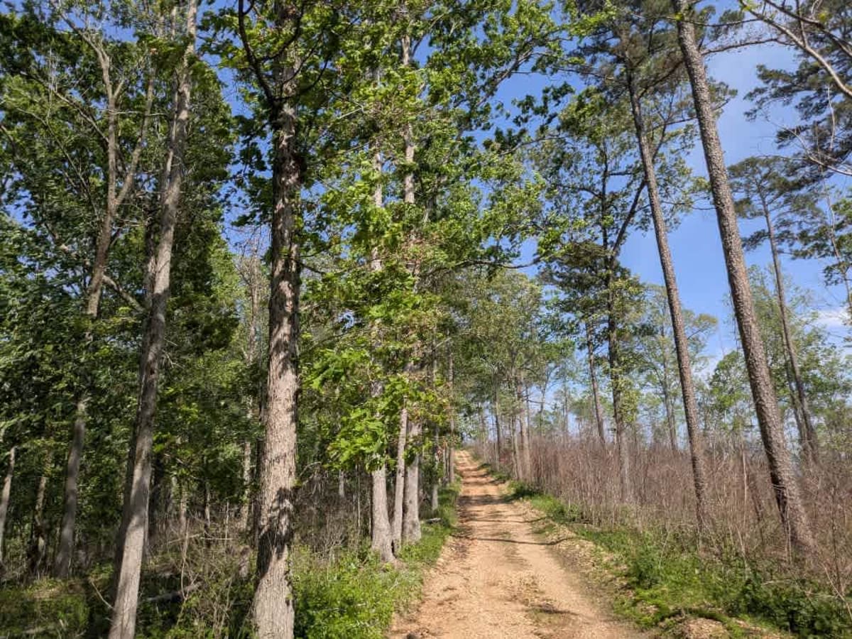 Barkshed Road photo 6