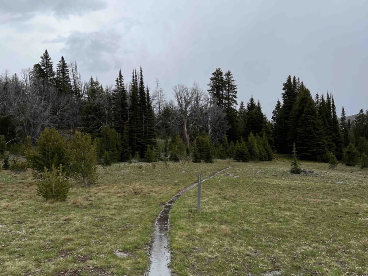 Rocky Creek trail photo