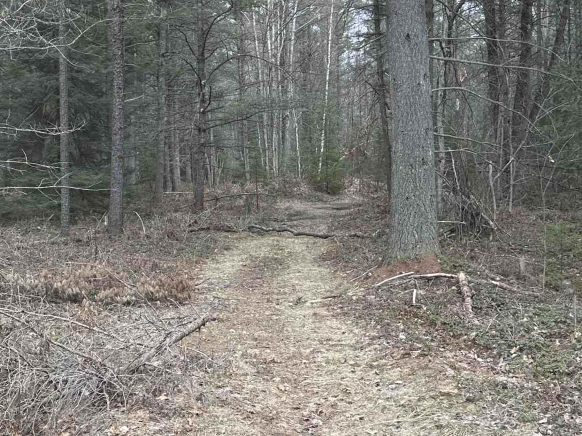 FS 4571 photo 5